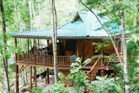 Belize home in the jungle – Best Places In The World To Retire – International Living